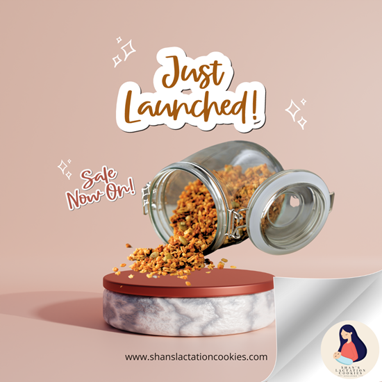 Shan's Lactation Cookies Signature Honey Butter Lactation Granola